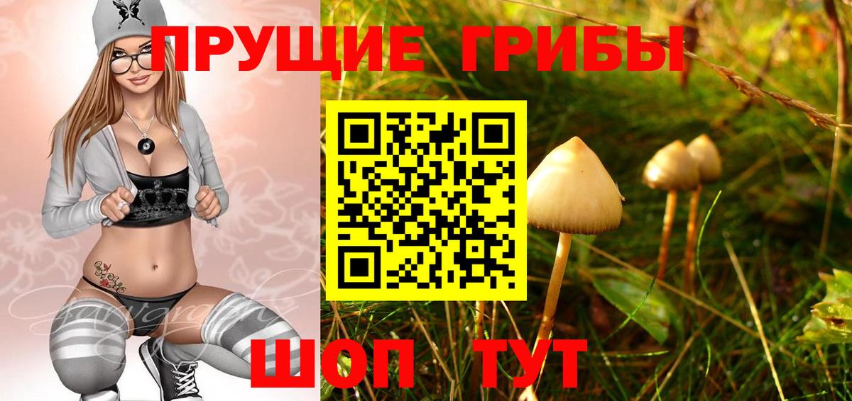 Псилоцибиновые грибы прущие грибы Лянтор